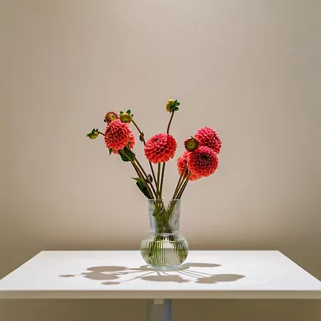 Helloapulia Charming Palazzo Clemente - Self-catering With Aircondition Monopoli