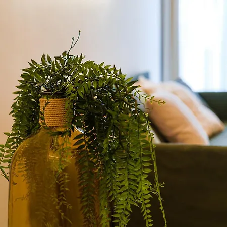 Helloapulia Charming Palazzo Clemente - Self-catering With Aircondition *