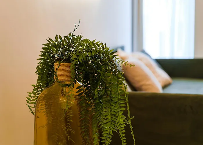 Helloapulia Charming Palazzo Clemente - Self-catering With Aircondition *